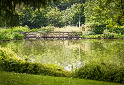 自然 自然の風景
 水域
 緑 写真