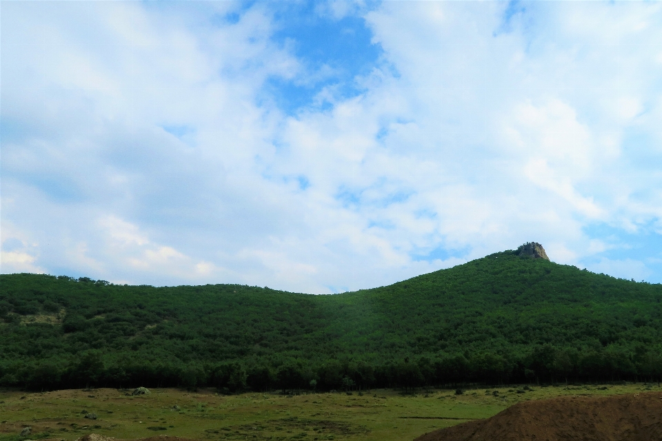 Landscape greenery nature mountains