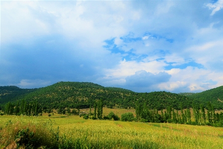 Landscape greenery nature village Photo