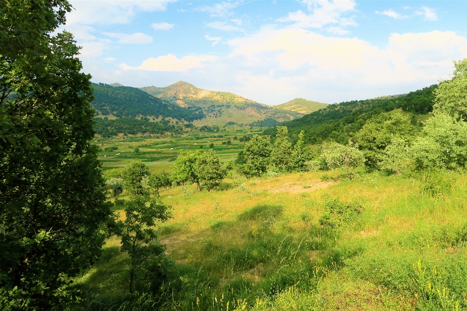 Landscape greenery nature village