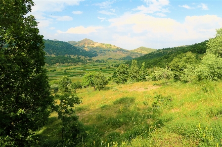 Landscape greenery nature village Photo