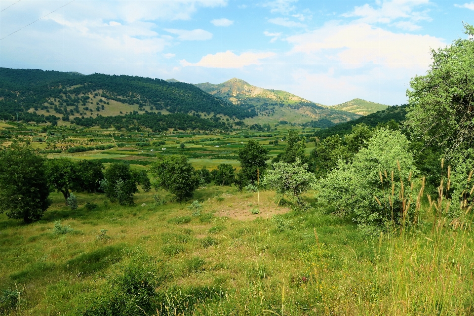 Landscape greenery nature village