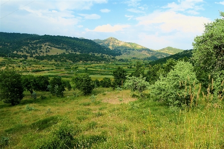 Landscape greenery nature village Photo