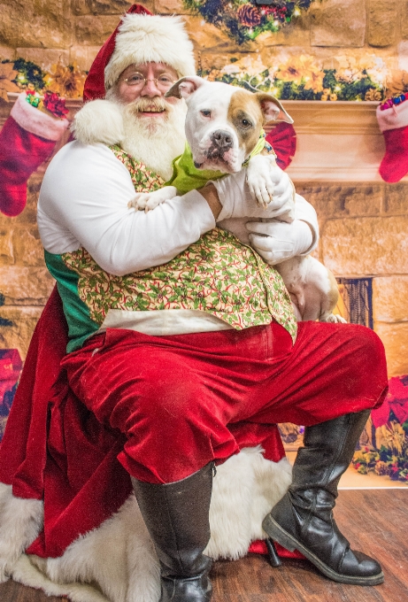 Dogs santa love claus