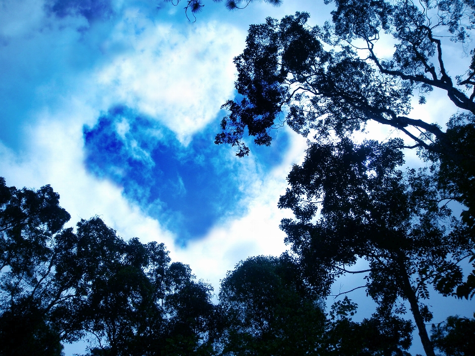 Langit awan biru siang hari