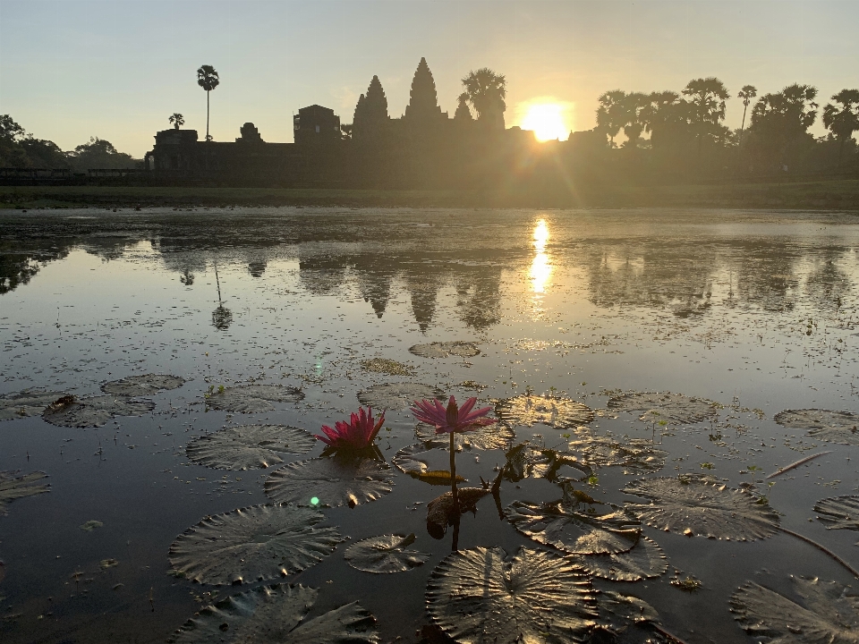 Cambodia siem reap ankor