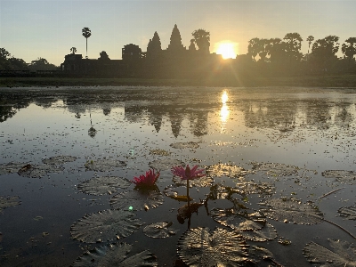 Cambodia siem reap ankor Photo