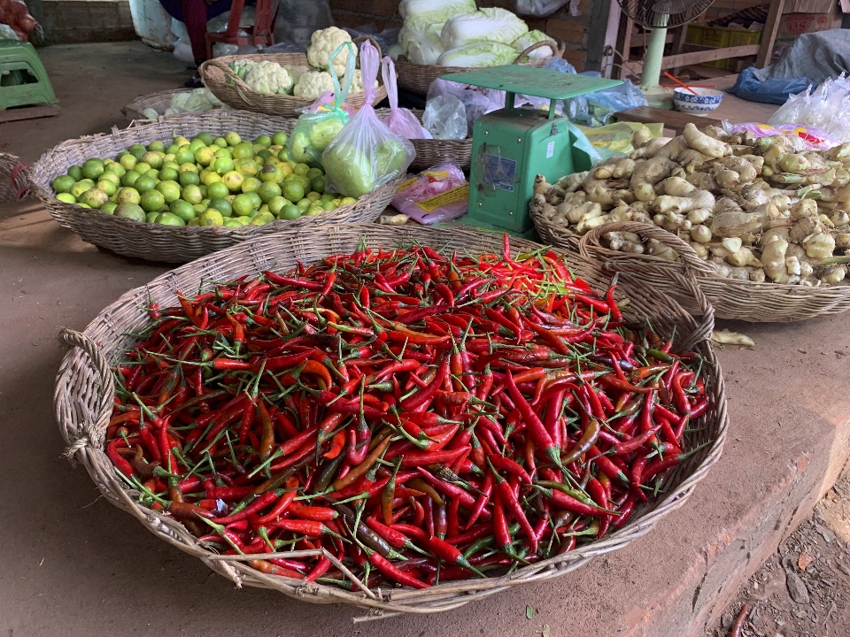 Camboja mercado especiaria pimenta