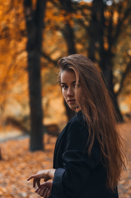 Mujer cabello gente en la naturaleza
 árbol