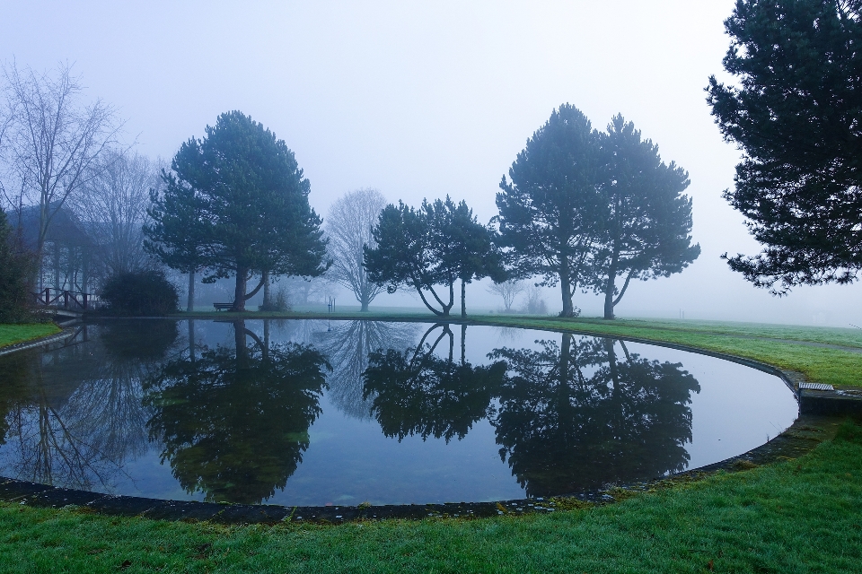 Park nature water natural landscape