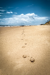 Blue sky landscape footprints Photo