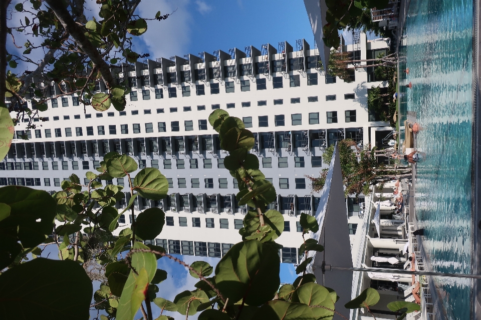 Horizonte edificio ciudad rascacielos