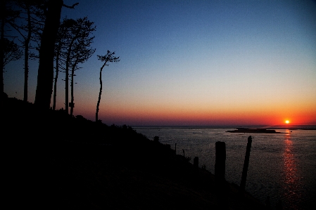 Sunset france beach trees Photo