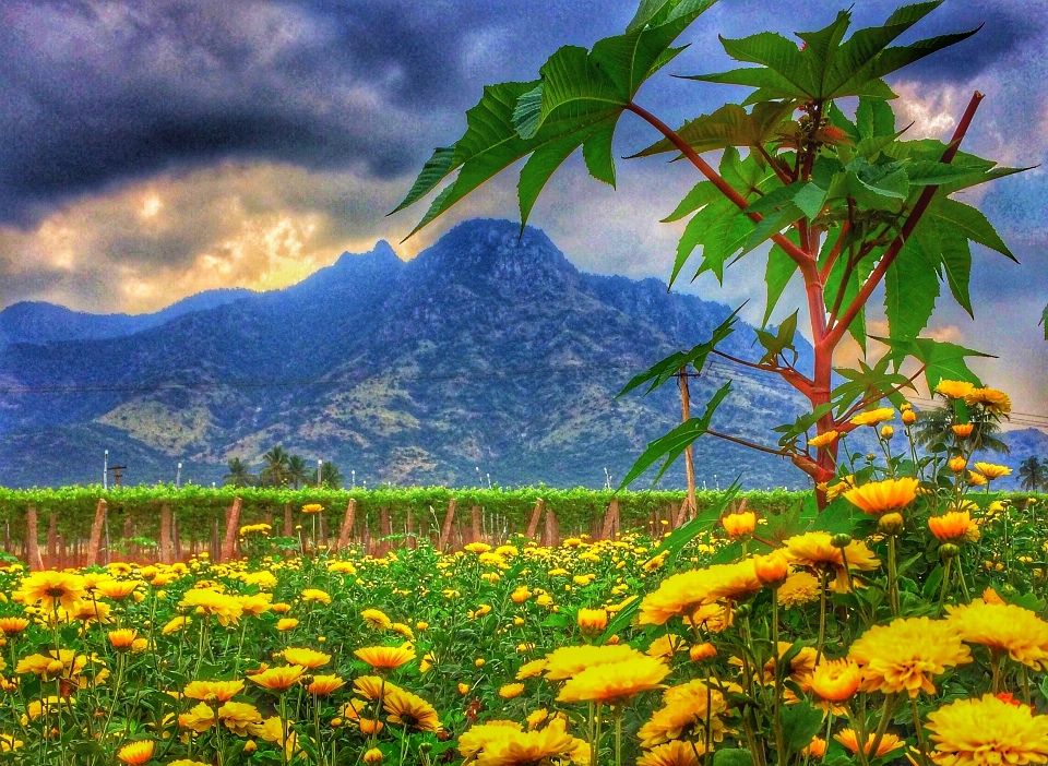 Montagna paesaggio naturale
 persone in natura
 natura