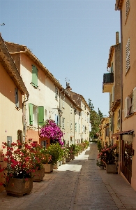 France street flowers neighbourhood Photo