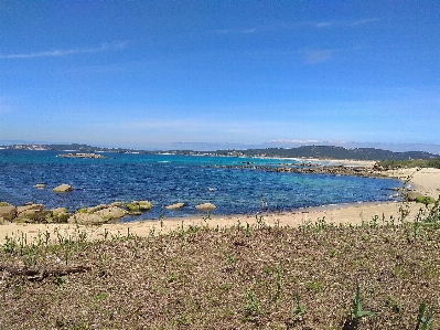 Beach body of water coast sea Photo