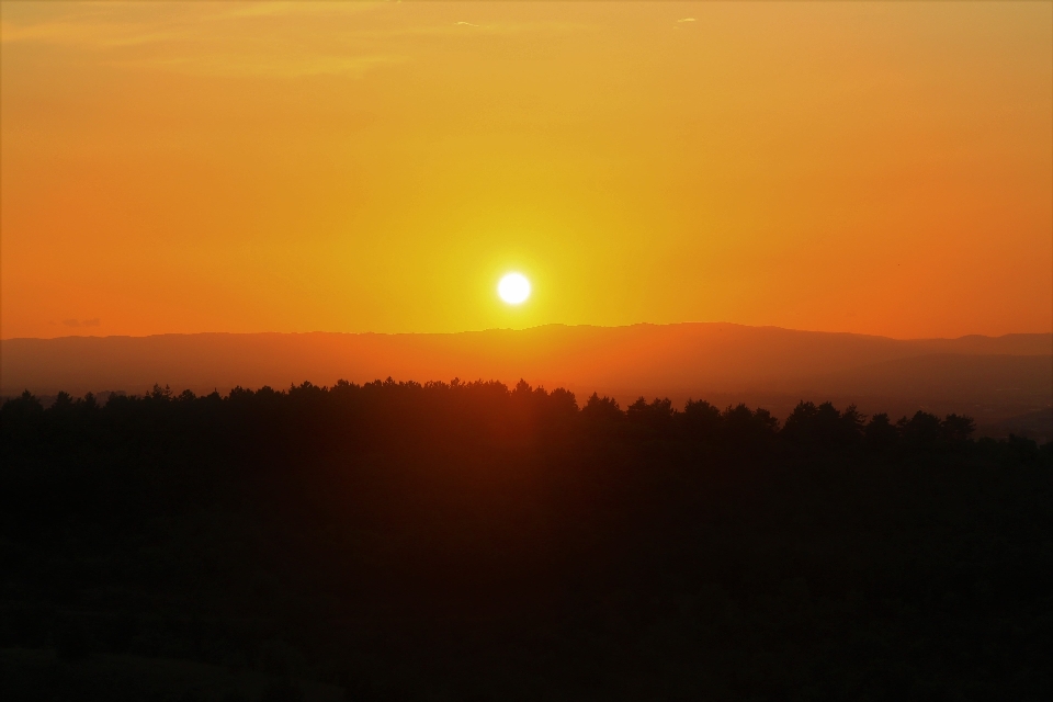 Atardecer sol paisaje hierbas