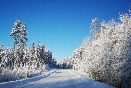 Foto Salju finlandia jalan musim dingin