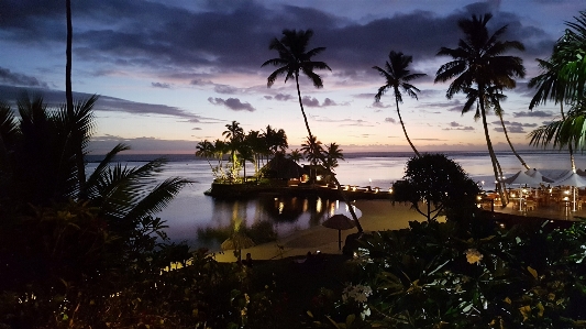 Foto Paraíso palmeira fiji crepúsculo