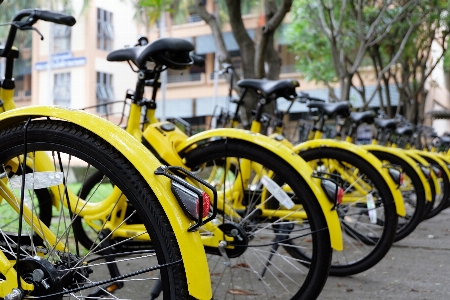 Foto Avventura sfondo bicicletta motociclista