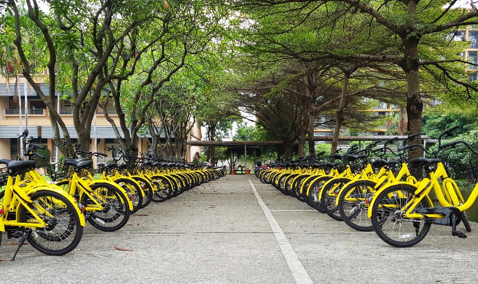 Adventure background bicycle bike