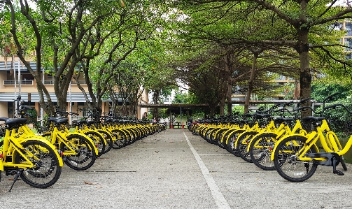 Adventure background bicycle bike Photo