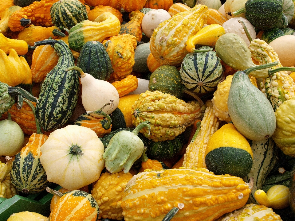 Pumpkin fruit food nutrition