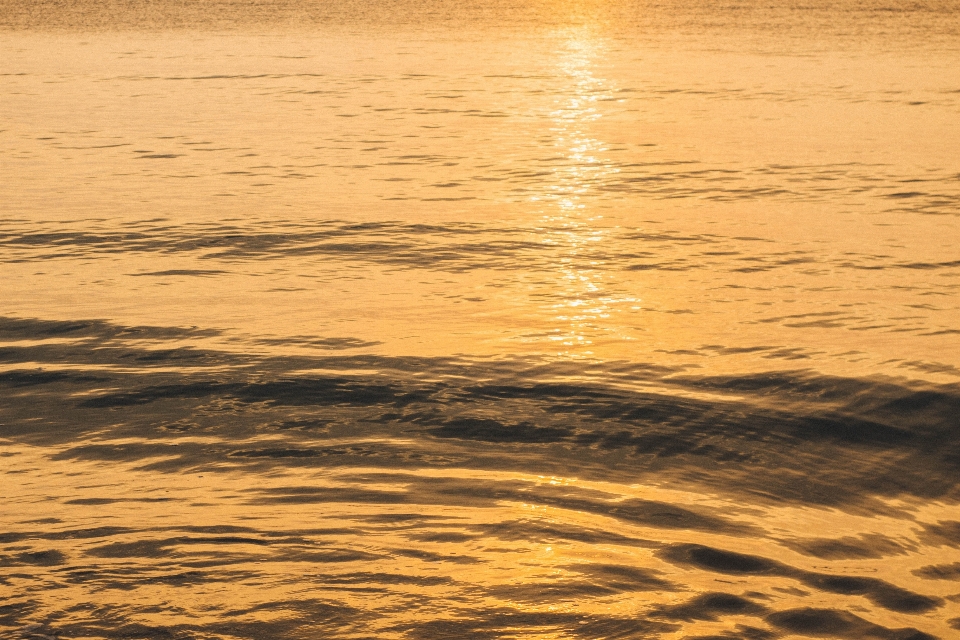 Mar ondas macio dourado