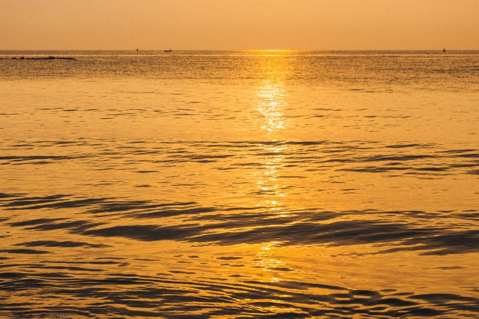 Mar ondas macio dourado