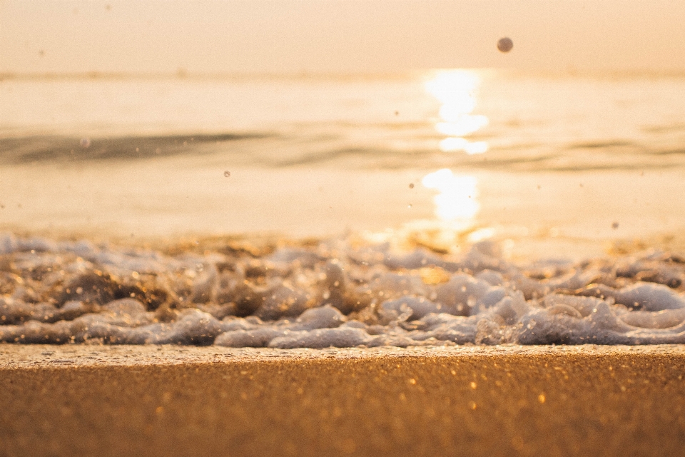 Mare onde morbido d'oro