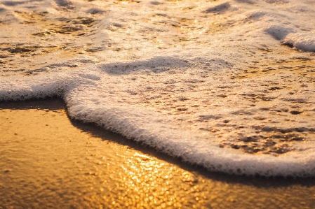 海 波 柔らかい ゴールデン 写真