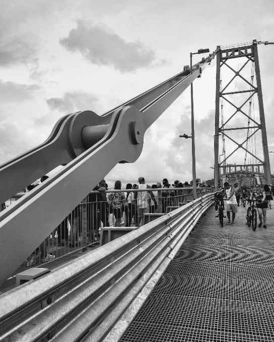 Pájaro
 puente arquitectura transporte