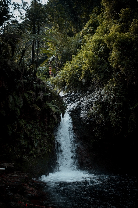 Indonesia body of water nature