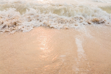 Sea morning soft wave water Photo