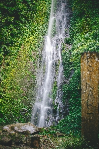 自然 滝 自然の風景
 水域
 写真