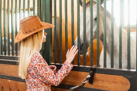 Horse girl farm country Photo