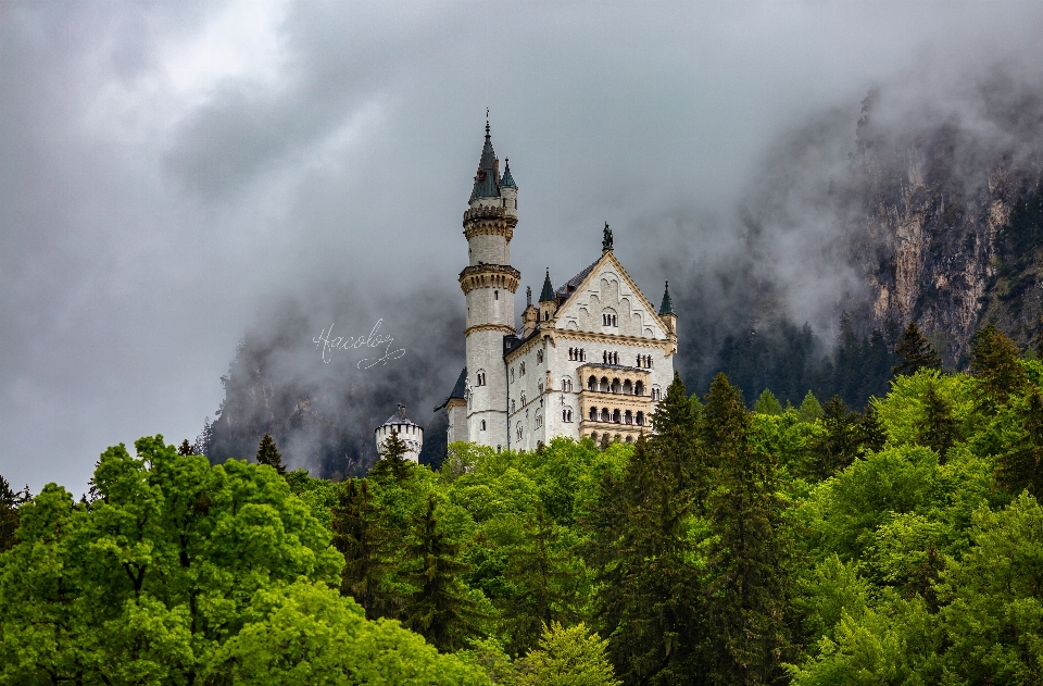 Le château de neuschwanstein
 cygne
 munich