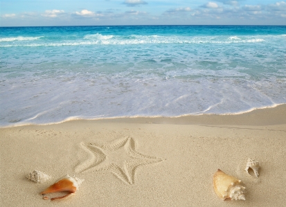 Hülse strand sand meer Foto