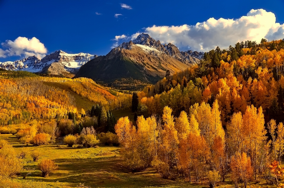 Autumn trees mountain nature