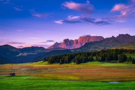 Landscape nature field tree Photo