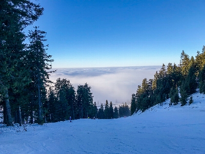 View snow winter sky Photo