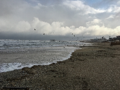 Sea winter body of water sky Photo