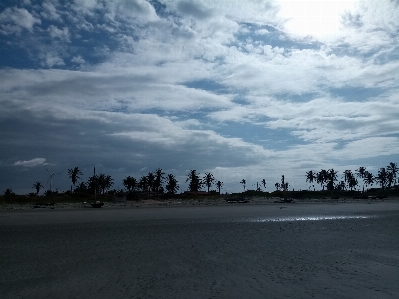 Beach sun trees sand Photo