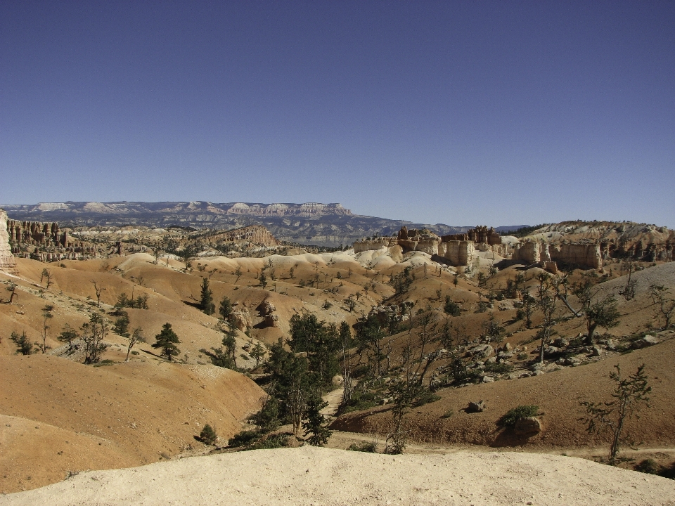 Bryce canyon mountainous landforms badlands