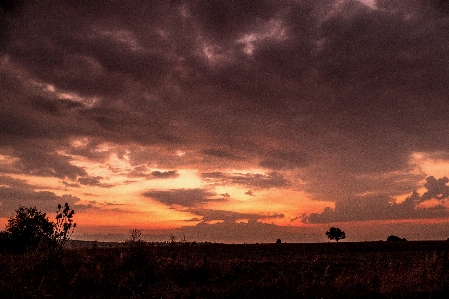 Foto Alba
 mattina nube cielo