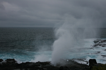 Galapagos wave sea ocean Photo