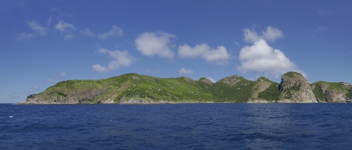 Island forest sea ocean Photo