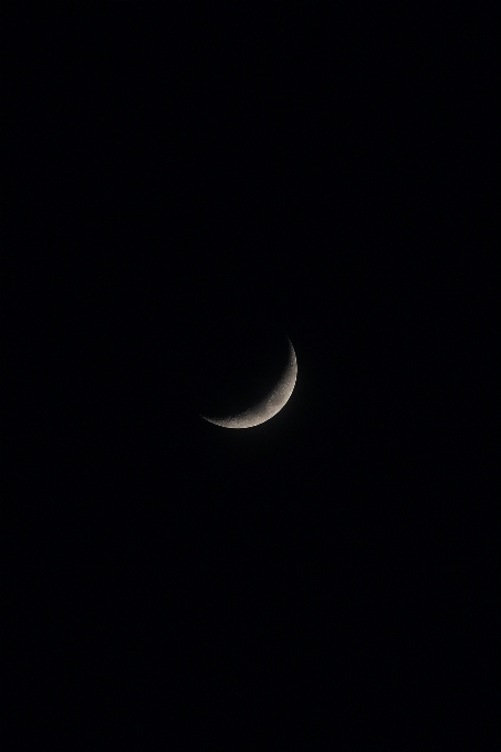 Luna creciente negro naturaleza