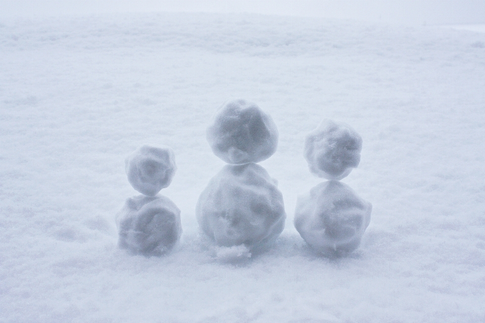 Neige famille phénomène atmosphérique
 hiver