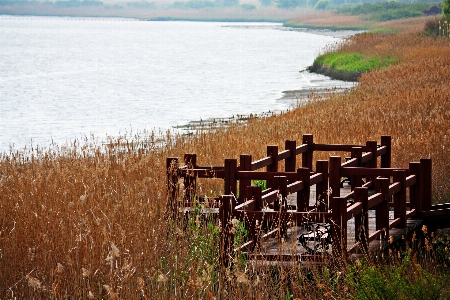 Lake nature natural landscape shore Photo